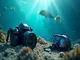 unterwasser-kamera-equipment-must-haves-fuer-aufregende-tauch-abenteuer